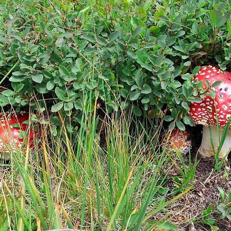 Le Balze Di Carisolo, Trilocale Con Giardino Apartment Bagian luar foto